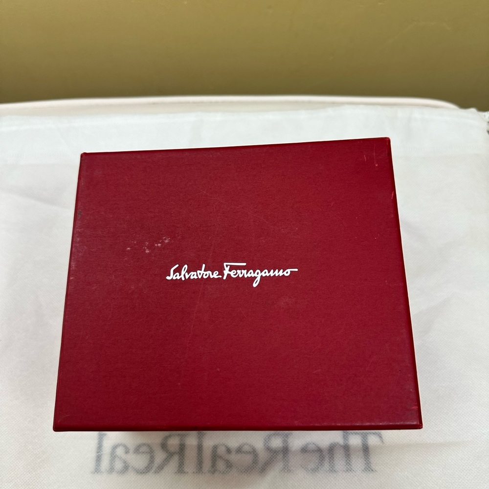 Salvatore ferragamo watch